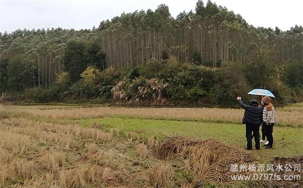 台湾陈老师带着爱徒寻龙点穴